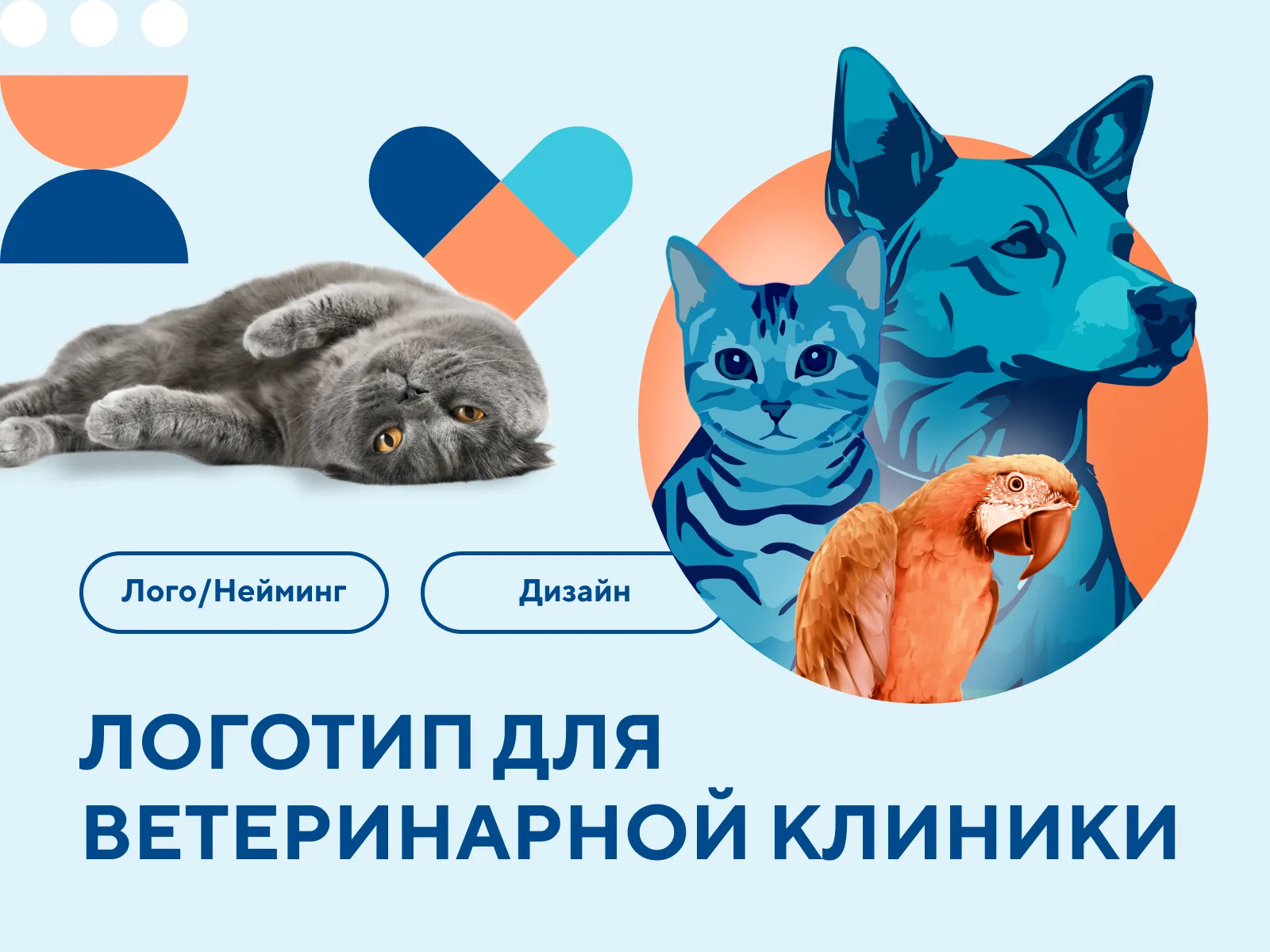Разработка логотипа для ветклиники